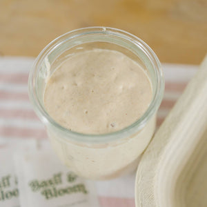 
                  
                    Load image into Gallery viewer, Dehydrated Sourdough Starter
                  
                