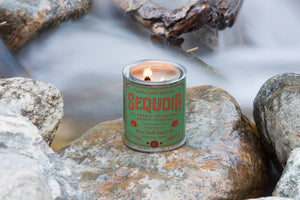 
                  
                    Load image into Gallery viewer, Sequoia National Park Candle
                  
                