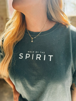 
                  
                    Load image into Gallery viewer, Walk by the Spirit Tee
                  
                