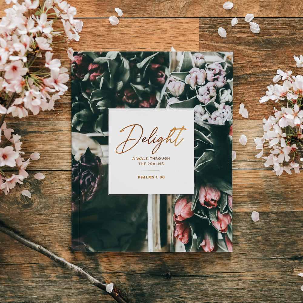 Delight - Study on Psalms 1-30 - The Daily Grace Co