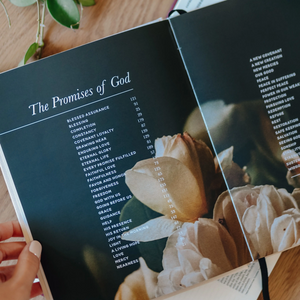 
                  
                    Load image into Gallery viewer, The Promises of God | Coffee Table Book
                  
                
